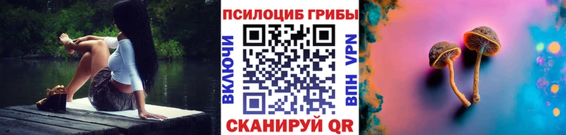 Купить закладки  Новотроицк  Галлюциногенные грибы прущие грибы 